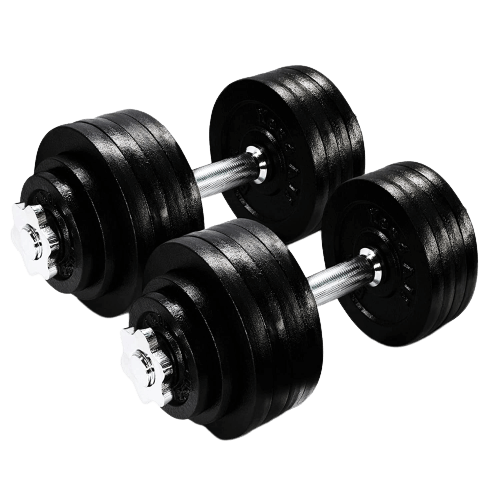 two  black cast iron dumbells